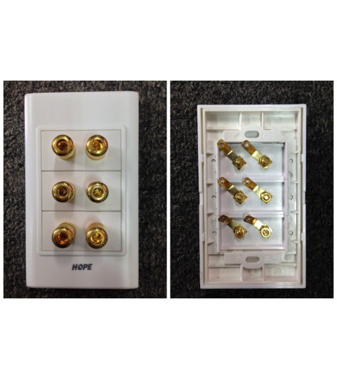 3 Speaker Wall Plate/Outlet